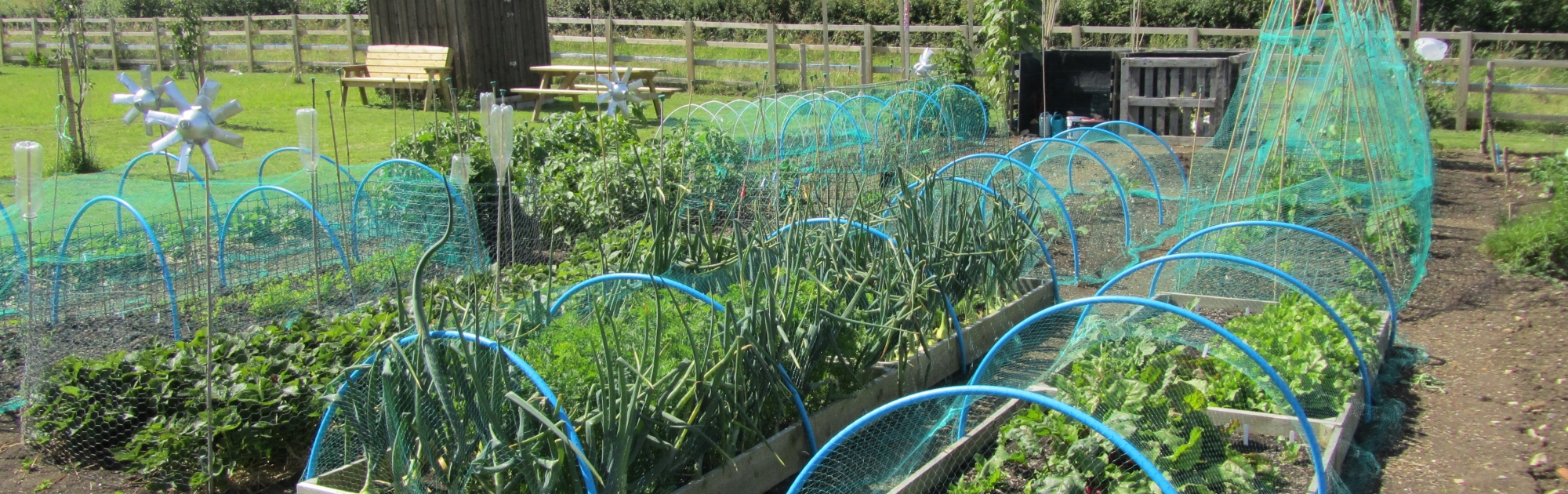 allotment plot 14